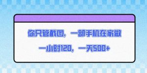 你只管截图，一部手机在家做，一小时120，一天500+-网创之道