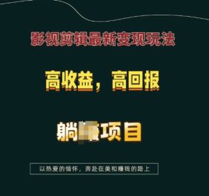 影视剪辑最新变现玩法，高收益，高回报，躺Z项目-网创之道