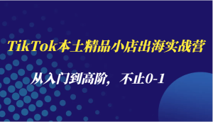 TikTok本土精品小店出海实战营,从入门到高阶,不止0-1-网创之道