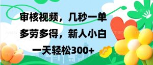 审核视频,几秒一单,多劳多得,新人小白一天轻松300+-网创之道