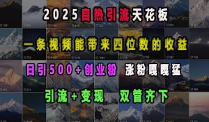 2025自热引流天花板，一条视频能带来四位数的收益，引流+变现双管齐下，日引500+创业粉，涨粉嘎嘎猛-网创之道