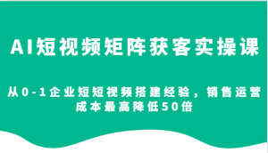 AI短视频矩阵获客实操课,从0-1企业短短视频搭建经验,销售运营成本最高降低50倍-网创之道