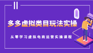 多多虚拟类目玩法实操,从零学习虚拟电商运营实操课程-网创之道