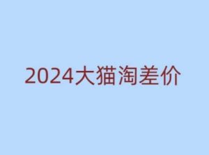 2024版大猫淘差价课程,新手也能学的无货源电商课程-网创之道