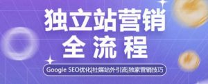 独立站营销全流程,Google SEO优化,社媒站外引流,独家营销技巧-网创之道