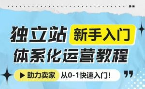 独立站新手入门体系化运营教程,助力独立站卖家从0-1快速入门!-网创之道