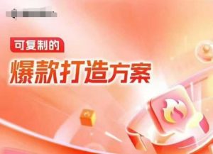 天猫电商爆款运营,可复制的爆款打造方案(线下内训课录音+字幕)-网创之道