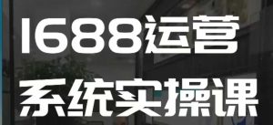 1688高阶运营系统实操课，快速掌握1688店铺运营的核心玩法-网创之道