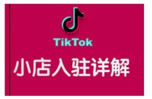 TikTok跨境小店运营全攻略,帮助你独立运营TK跨境小店的能力,实现销量增长-网创之道