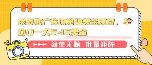 俄罗斯广告浏览撸美金项目,单窗口一天5-15美金-网创之道