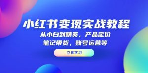 小红书变现实战教程:从小白到精英,产品定价,笔记带货,账号运营等-网创之道