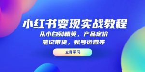 小红书变现实战教程:从小白到精英,产品定价,笔记带货,账号运营等-网创之道