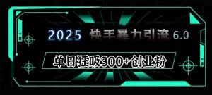 2025年快手6.0保姆级教程震撼来袭，单日狂吸300+精准创业粉-网创之道