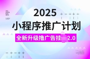 2025小程序推广计划,全新升级撸广告挂JI2.0玩法,日入多张,小白可做-网创之道