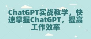 ChatGPT实战教学,快速掌握ChatGPT,提高工作效率-网创之道