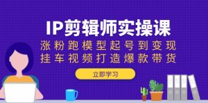 IP剪辑师实操课:涨粉跑模型起号到变现,挂车视频打造爆款带货-网创之道