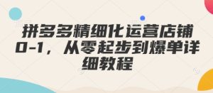 拼多多精细化运营店铺0-1，从零起步到爆单详细教程-网创之道