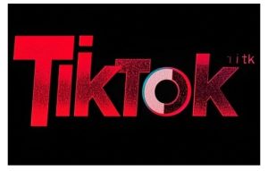 TikTok ads投流秘籍,涵盖tiktok整体投放思路,教你搭建测试计划-网创之道