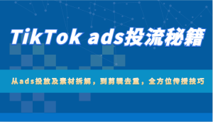 TikTok ads投流秘籍:从ads投放及素材拆解,到剪辑去重,全方位传授技巧-网创之道
