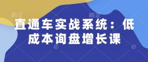 直通车实战系统：低成本询盘增长课，让个人通过技能实现升职加薪，让企业低成本获客，订单源源不断-网创之道