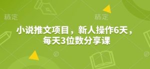 小说推文项目，新人操作6天，每天3位数分享课-网创之道