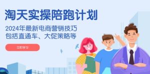 淘天实操陪跑计划,2024年最新电商营销技巧,包括直通车、大促策略等-网创之道