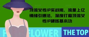 顶流女性IP实战班，流量上亿情绪引爆法，深度打磨顶流女性IP硬核基本功-网创之道
