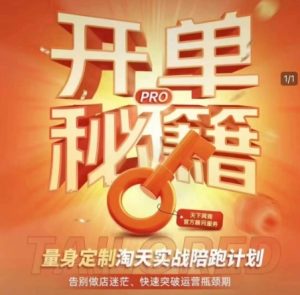 淘宝开单秘籍PRO,量身定制淘天实战陪跑计划,告别做店迷茫、快速突破运营瓶颈期-网创之道
