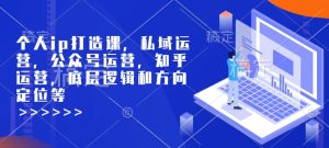 个人ip打造课,私域运营,公众号运营,知乎运营,底层逻辑和方向定位等-网创之道