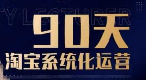 90天淘宝系统化运营,从入门到精通-网创之道