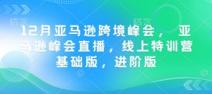 12月亚马逊跨境峰会, 亚马逊峰会直播,线上特训营基础版,进阶版-网创之道
