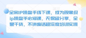 全案IP操盘手线下课，成为现象级ip操盘手必修课，无保留分享，全是干货，不讲废话超深度培训实操-网创之道