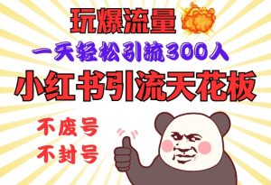 小红书引流天花板，玩爆流量，一天轻松引流300人，安全操作-网创之道