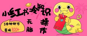 小红书冷知识账号，无脑复制粘贴，5分钟即可变现3张-网创之道