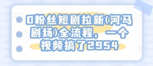 0粉丝短剧拉新(河马剧场)全流程，一个视频搞了2954-网创之道