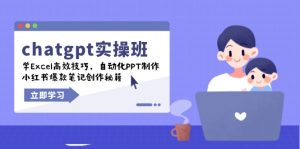 chatgpt实战班，学Excel高效技巧，自动化PPT制作，小红书爆款笔记创作秘籍-网创之道