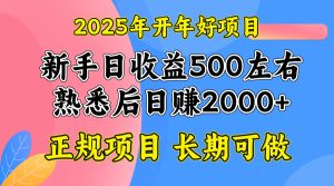2025开年好项目，单号日收益2000左右-网创之道
