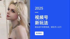 搬运老外奇葩视频,撸视频号分成计划收益,每天只需一小时,新手小白轻松月入过W-网创之道