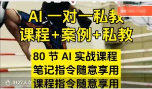 AI指令实战课,课程+案例,80节AI实战课程,笔记指令随意享用,课程指令随意享用-网创之道