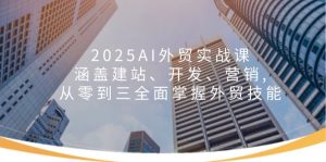 2025AI外贸实战课：涵盖建站、开发、营销, 从零到三全面掌握外贸技能-网创之道