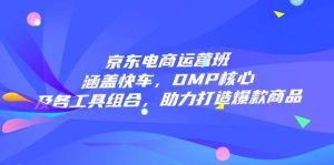 京东电商运营班:涵盖快车,DMP核心及各工具组合,助力打造爆款商品-网创之道