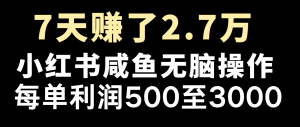 全网首发，7天赚了2.6万，2025利润超级高！-网创之道